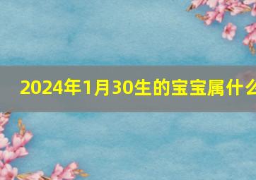 2024年1月30生的宝宝属什么