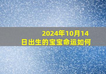 2024年10月14日出生的宝宝命运如何,2024年10月属什么生肖