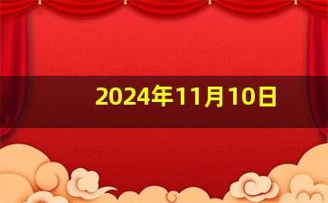 2024年11月10日