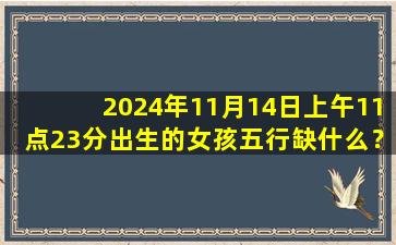 2024年11月14日上午11点23分出生的女孩五行缺什么？