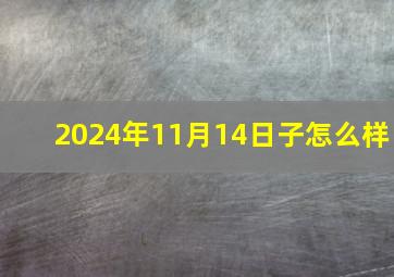 2024年11月14日子怎么样