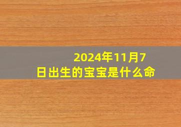 2024年11月7日出生的宝宝是什么命