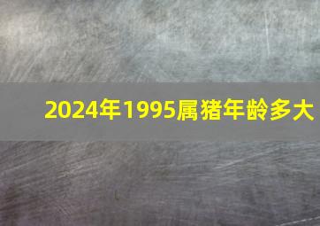 2024年1995属猪年龄多大,1995年出生的人属猪