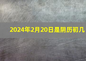 2024年2月20日是阴历初几,2024年阴历二月二十是多少号