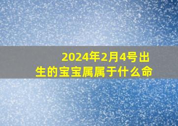 2024年2月4号出生的宝宝属属于什么命,2024年2月4号出生的宝宝属属于什么命运