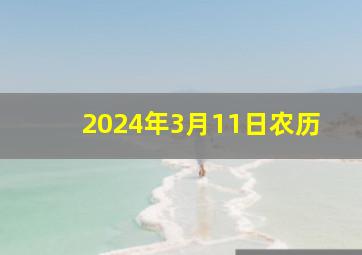 2024年3月11日农历,2024年2月9日黄历