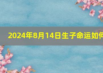 2024年8月14日生子命运如何,2024年8月14号