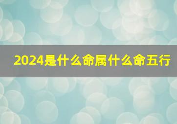 2024是什么命属什么命五行