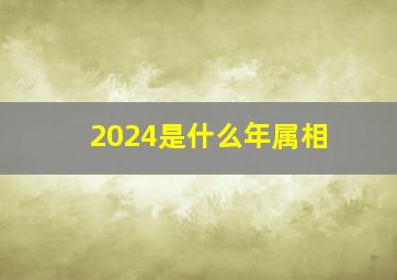 2024是什么年属相,2024什么年属什么生肖年