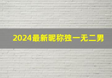 2024最新昵称独一无二男,2o2l网名