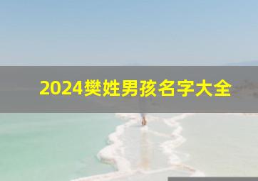 2024樊姓男孩名字大全