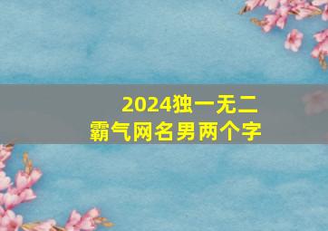 2024独一无二霸气网名男两个字,2024年网名二字男好运