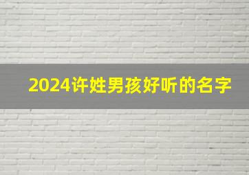 2024许姓男孩好听的名字,2024年许姓男孩名字大全