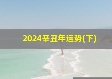 2024辛丑年运势(下),2024年运势详解