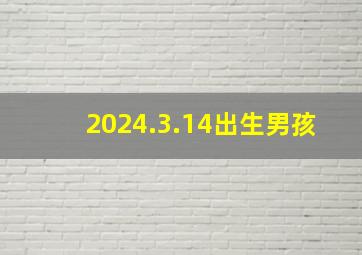 2024.3.14出生男孩,2024年必生男孩的生肖