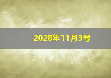 2028年11月3号,11月17农历是几月几号