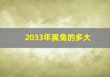 2033年属兔的多大