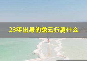 23年出身的兔五行属什么,2023年五月出生兔宝宝五行缺什么2023年五月出生的孩子是什么命