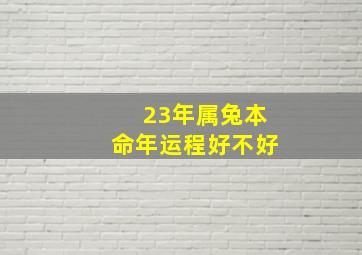 23年属兔本命年运程好不好,23年属兔本命年运程好不好呢