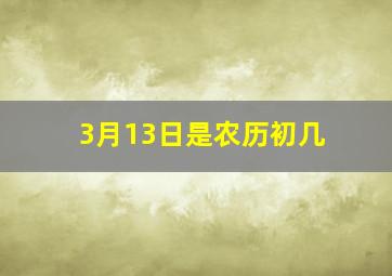 3月13日是农历初几,3月13是农历几号