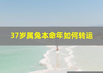 37岁属兔本命年如何转运,属兔的人36岁本命年很可怕怎么转运