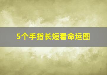 5个手指长短看命运图,5个手指长短看命运图 富贵