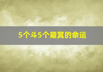 5个斗5个簸箕的命运,5个斗和5个簸箕传说