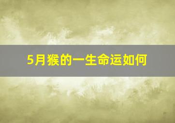 5月猴的一生命运如何,属猴人几月出生命最好属猴的几月出生最好