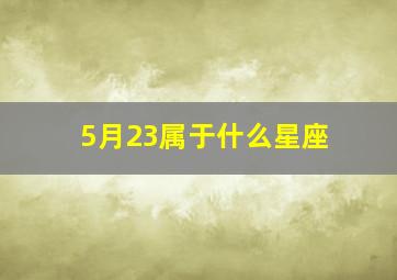 5月23属于什么星座,5月23日是什么星座：双子座