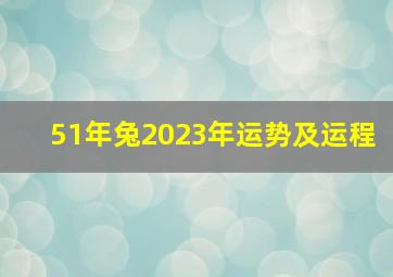 51年兔2023年运势及运程,属兔2023年运程及运势详解2023兔年属兔人本命年每月运势