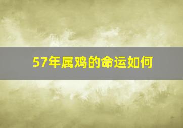 57年属鸡的命运如何,