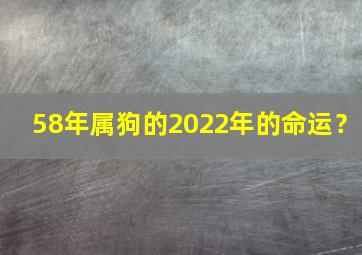 58年属狗的2022年的命运？