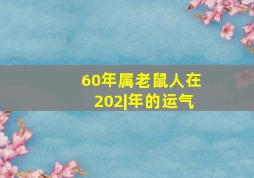 60年属老鼠人在202|年的运气,1960年属鼠的生在农历六月初四运势怎么样