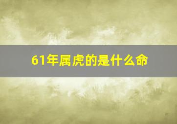 61年属虎的是什么命,