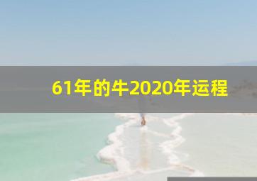 61年的牛2020年运程,