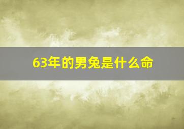 63年的男兔是什么命,63年男兔2024年运势免费八字算命网