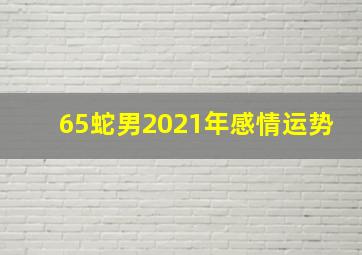 65蛇男2021年感情运势,1965年出生的属蛇人2021年运势