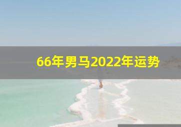 66年男马2022年运势,1966年属马人2022年运势如何虎年财运状态尚佳