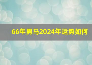 66年男马2024年运势如何,66年男马2024年运