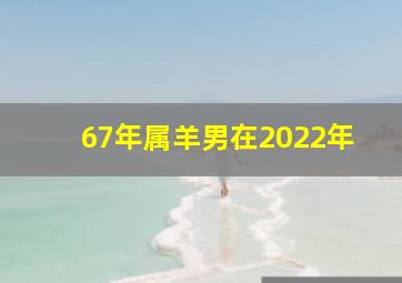 67年属羊男在2022年,<body>