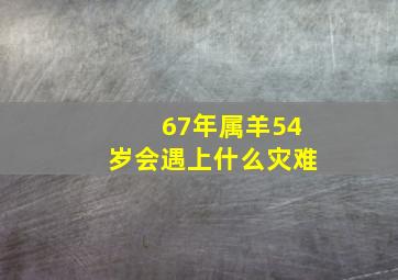 67年属羊54岁会遇上什么灾难,67年属羊最难熬年龄58岁财运欠佳