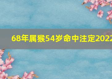 68年属猴54岁命中注定2022,54岁1968年的属猴女2022年上半年运势怎样