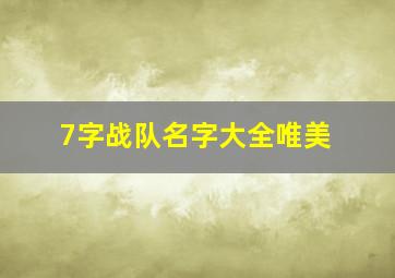 7字战队名字大全唯美