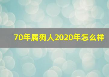 70年属狗人2020年怎么样,70年属狗人今后十年大运