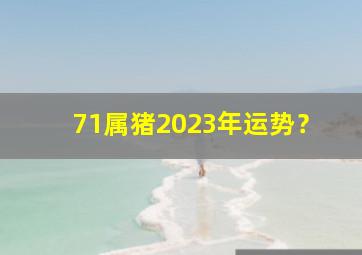 71属猪2023年运势？