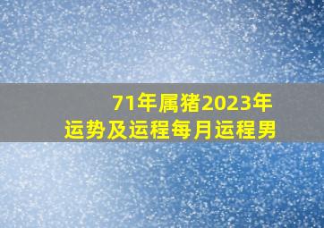 71年属猪2023年运势及运程每月运程男,71年属猪男2023年的运势和婚姻