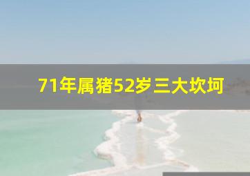 71年属猪52岁三大坎坷,71年生肖猪劫数一生有三大劫