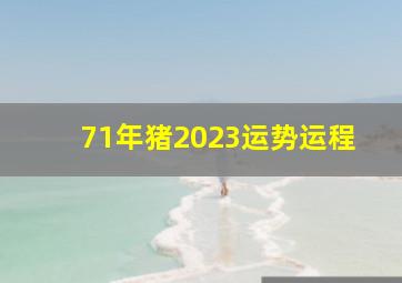 71年猪2023运势运程,1971年出生属猪人2023年运势及运程