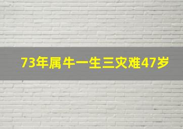 73年属牛一生三灾难47岁,73年属牛47岁有一灾具体运程分析