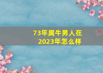 73年属牛男人在2023年怎么样